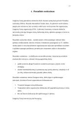 Kompanijų socialinė atsakomybė 17 puslapis