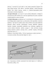 Kompanijų socialinė atsakomybė 10 puslapis