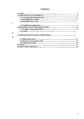 Komunikacijos samprata bei komunikacija organizacijoje 2 puslapis