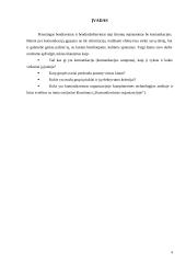 Komunikacijos samprata bei komunikacija organizacijoje 3 puslapis