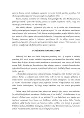 Komunikacijos samprata bei komunikacija organizacijoje 6 puslapis