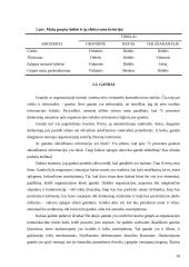 Komunikacijos samprata bei komunikacija organizacijoje 9 puslapis