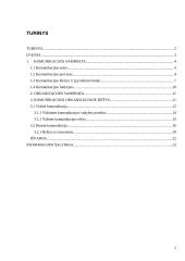 Komunikacija organizacijoje: vidinė ir išorinė 2 puslapis