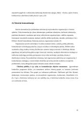 Komunikacija organizacijoje: vidinė ir išorinė 16 puslapis