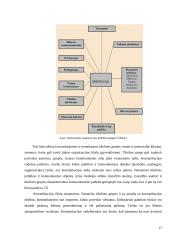 Komunikacija organizacijoje: vidinė ir išorinė 17 puslapis