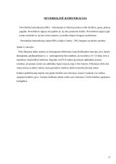 Komunikacijų sociologija 17 puslapis