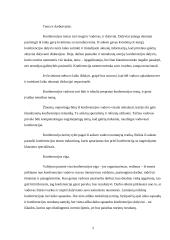 Konferencijos organizavimas 2 puslapis