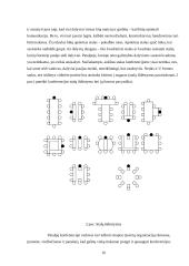 Konferencijos organizavimas 16 puslapis
