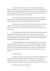 Konferencijos organizavimas 19 puslapis