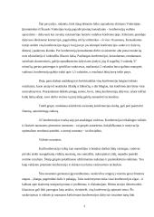 Konferencijos organizavimas 3 puslapis