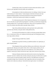 Konferencijos organizavimas 6 puslapis