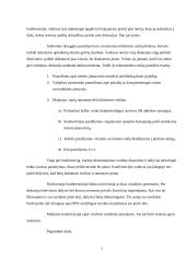 Konferencijos organizavimas 7 puslapis