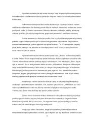 Konferencijos organizavimas 8 puslapis