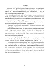 Konfliktas ir pagrindiniai jo komponentai 8 puslapis