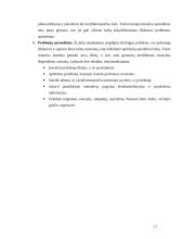 Konfliktų atsiradimai ir jų sprendimo būdai 11 puslapis