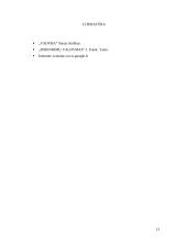 Konfliktų atsiradimai ir jų sprendimo būdai 13 puslapis