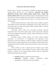 Konfliktų atsiradimai ir jų sprendimo būdai 3 puslapis