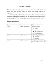 Konfliktų atsiradimai ir jų sprendimo būdai 4 puslapis