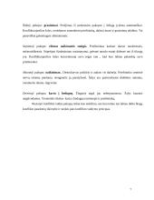 Konfliktų atsiradimai ir jų sprendimo būdai 7 puslapis