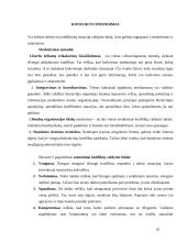 Konfliktų atsiradimai ir jų sprendimo būdai 10 puslapis