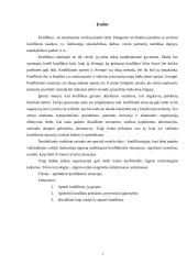 Verslo etikos problemos vadybos kontekste. Konfliktų valdymas 2 puslapis