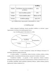 Verslo etikos problemos vadybos kontekste. Konfliktų valdymas 4 puslapis