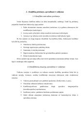 Verslo etikos problemos vadybos kontekste. Konfliktų valdymas 6 puslapis