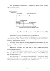 Verslo etikos problemos vadybos kontekste. Konfliktų valdymas 7 puslapis
