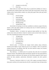 Konkurencija ir jos siekimas 12 puslapis