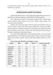 Konkurencija ir jos siekimas 13 puslapis