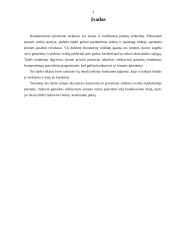 Konkurencija ir jos siekimas 3 puslapis