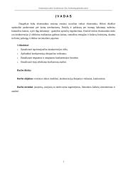 Konkurencijos analizė. Konkurencijos rūšys. Konkurentų galimybių analizė 2 puslapis