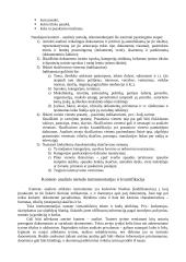 Kontent analizės metodas 4 puslapis