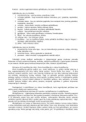 Kontent analizės metodas 5 puslapis