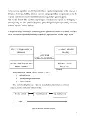 Kontrolės reikšmė valdyme 8 puslapis
