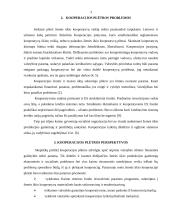 Kooperacijos plėtra: reikšmė, problemos ir perspektyvos 3 puslapis