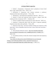 Kooperacijos plėtra: reikšmė, problemos ir perspektyvos 7 puslapis