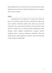 Korupcija nusikaltimų globalizacijos kontekste 7 puslapis