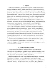  Lietuvos kredito sistema 2 puslapis