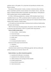  Lietuvos kredito sistema 3 puslapis