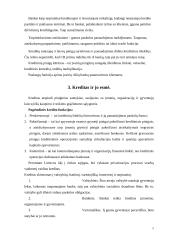  Lietuvos kredito sistema 4 puslapis