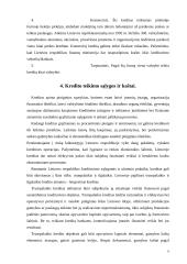  Lietuvos kredito sistema 5 puslapis