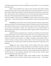 Kreditavimo sąlygos ir tvarka 10 puslapis