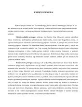 Kreditavimo sąlygos ir tvarka 16 puslapis