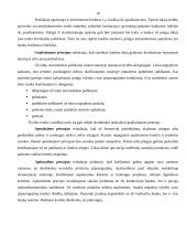 Kreditavimo sąlygos ir tvarka 17 puslapis