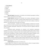 Kreditavimo sąlygos ir tvarka 19 puslapis