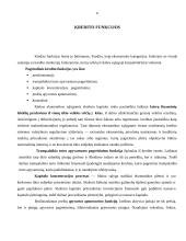 Kreditavimo sąlygos ir tvarka 5 puslapis