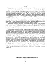 Krikščioniškojo socialinio mokymo samprata 3 puslapis