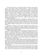 Krikščioniškojo socialinio mokymo samprata 4 puslapis