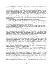 Krikščioniškojo socialinio mokymo samprata 6 puslapis